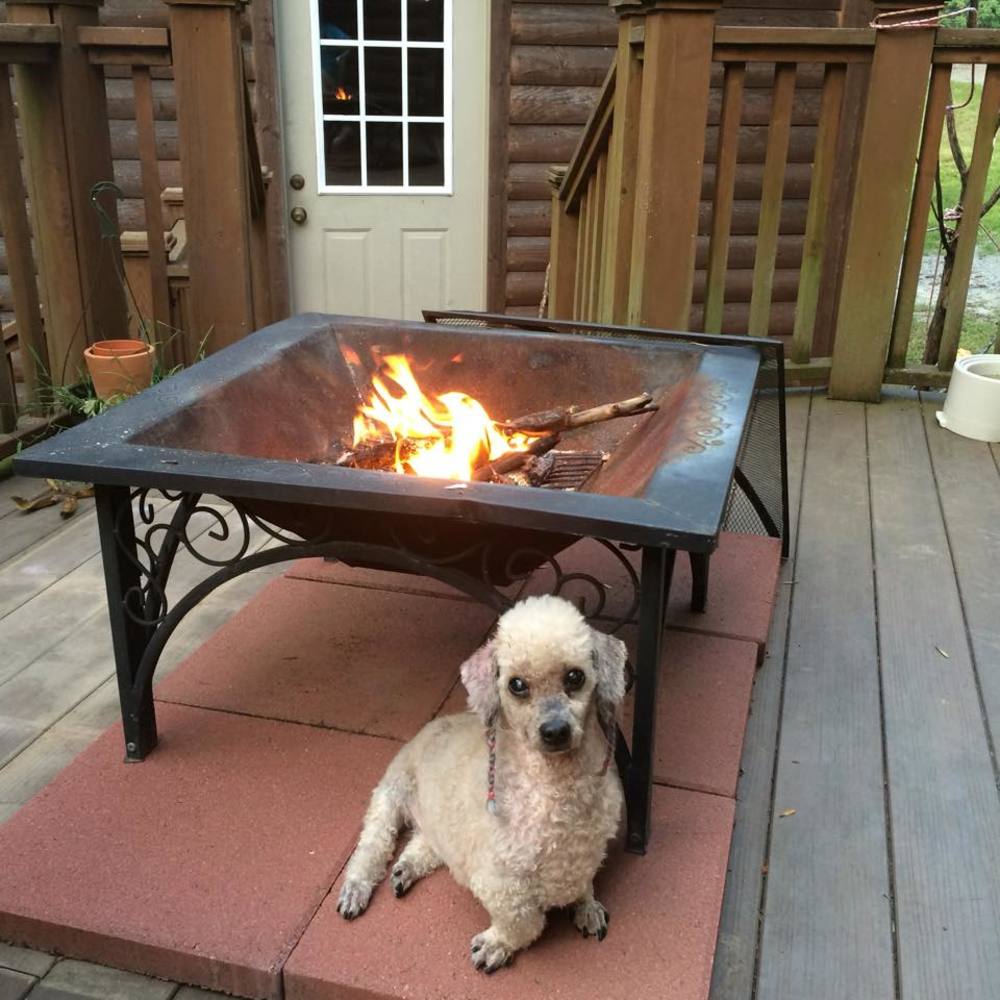 Meet your Posher, Julie